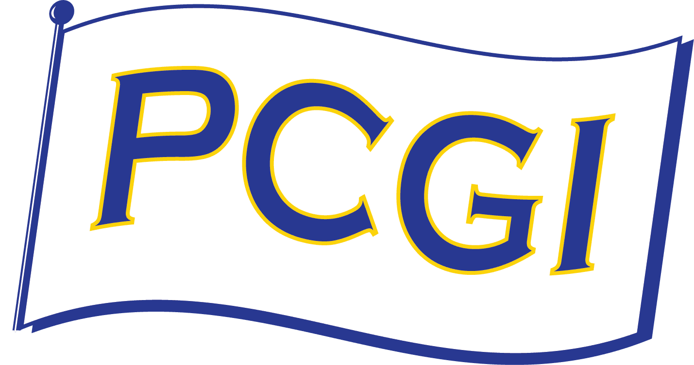 pacificcoastgolfinstruction.com favicon