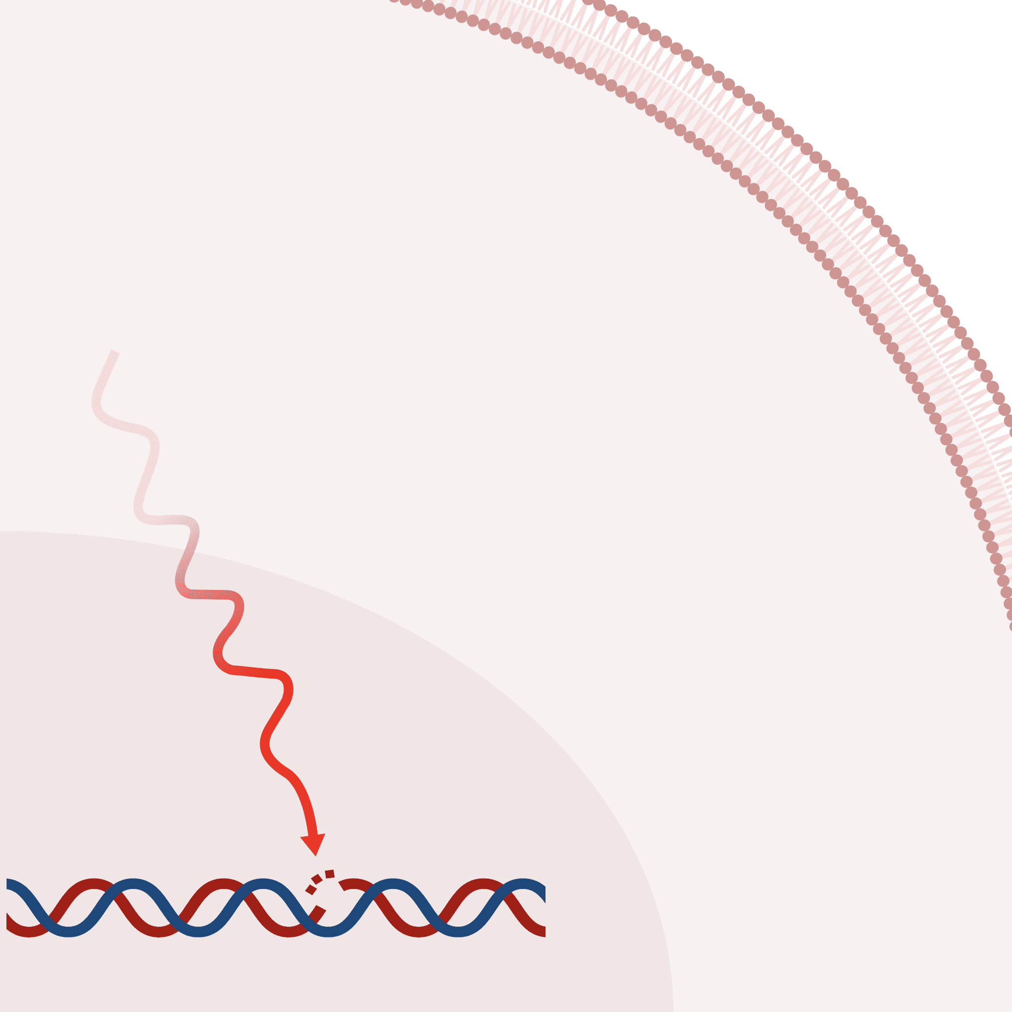 Cell Diagram