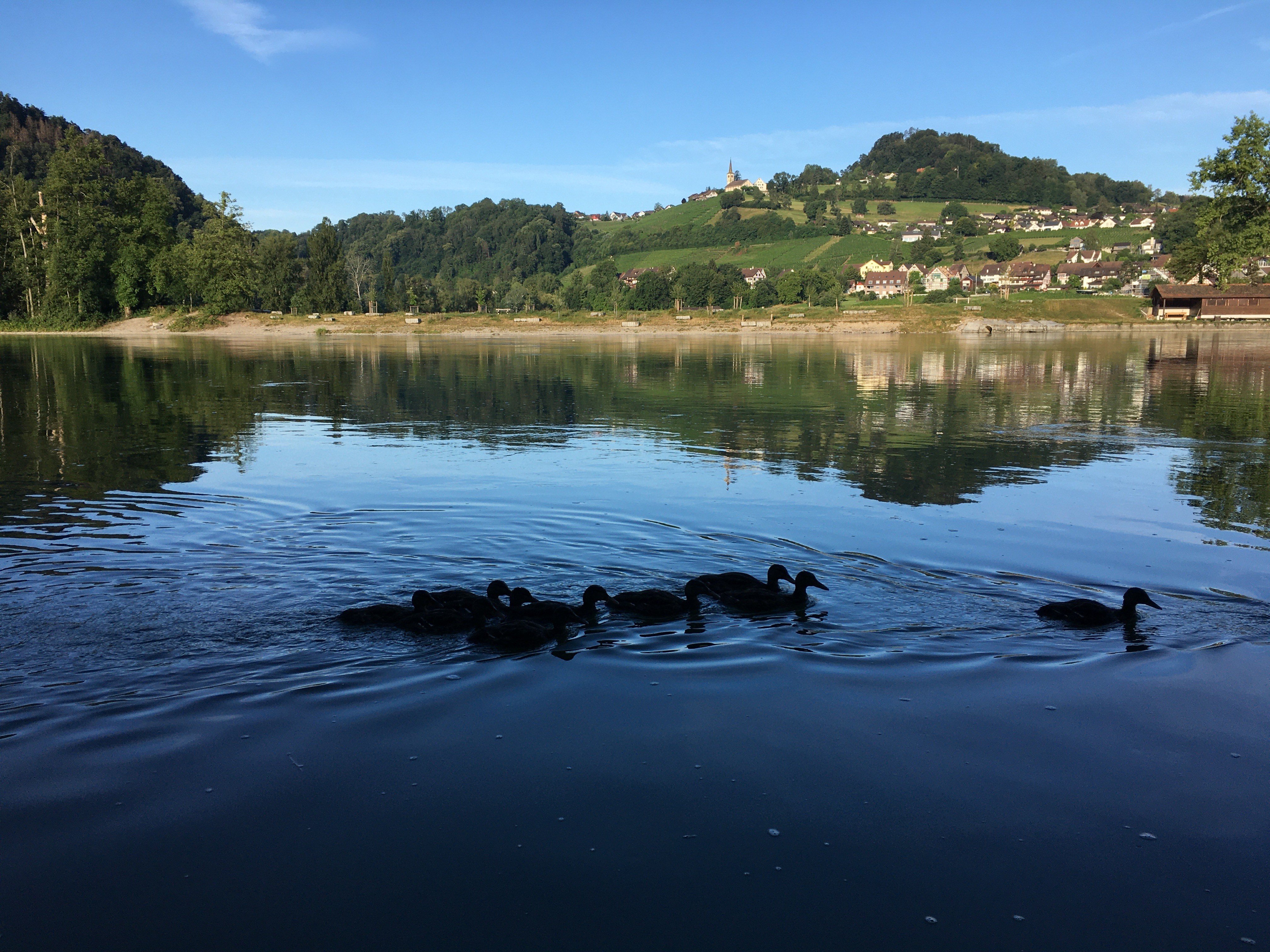 Wappen Fischereiverein Rüdlingen