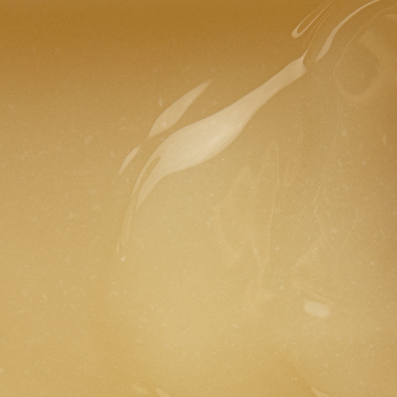 Citron Caramanfruit - Utilisation professionnelle