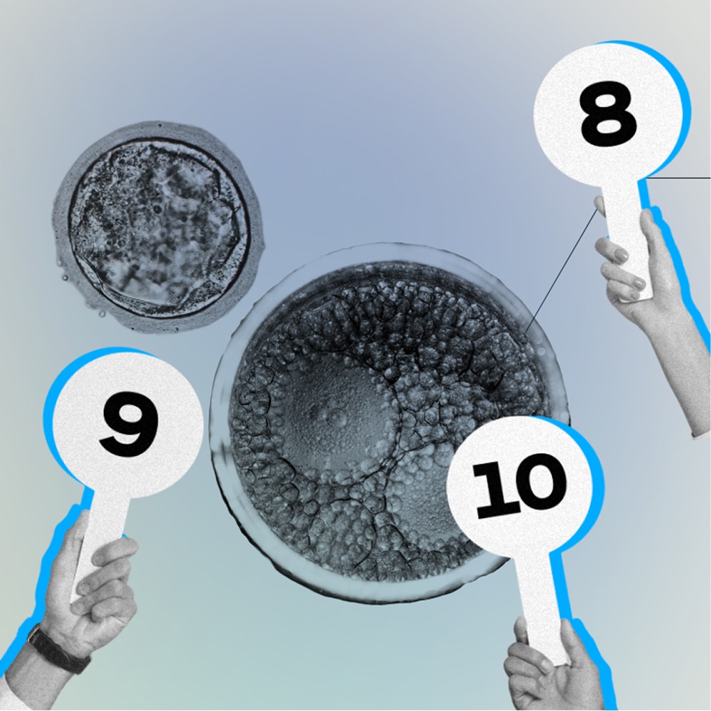 MIT Technology Review feature image