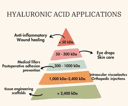 Hyaluronic Acid Molecular Weight