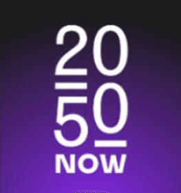 Logo 2050 Now