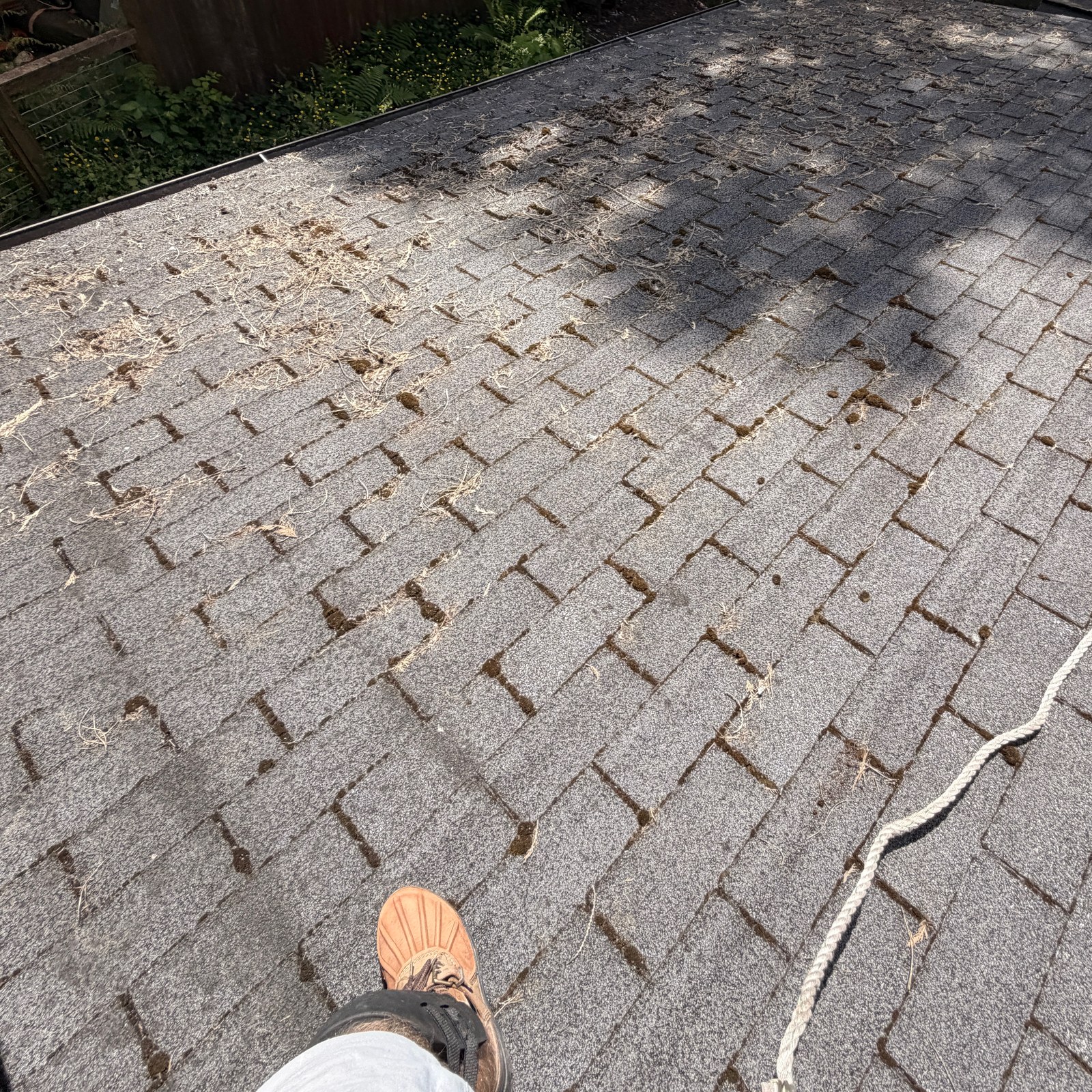 Before: roof cleaning: mid-job vs. finished in Granite Falls, WA