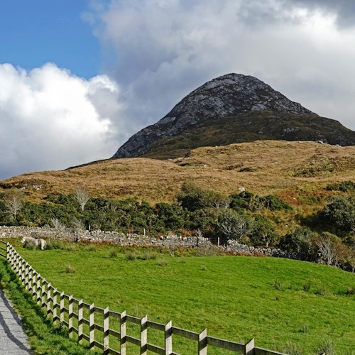 Зеленото поле с дървена ограда, храсти и планина под частично облачно небе.