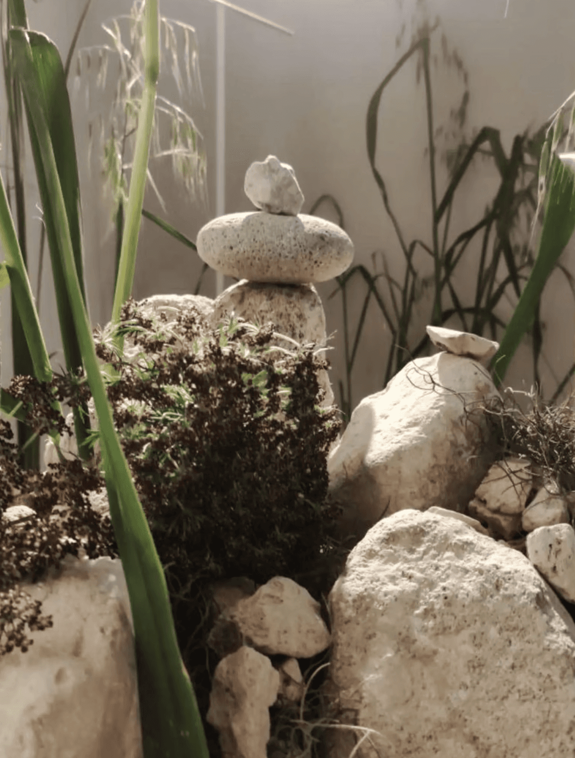 Arreglo floral contemporáneo con flores exóticas, incluyendo aves del paraíso, hortensias blancas, gloriosas rojas y flores esféricas lilas, dispuesto sobre una mesa negra frente a un fondo de paneles oscuros.