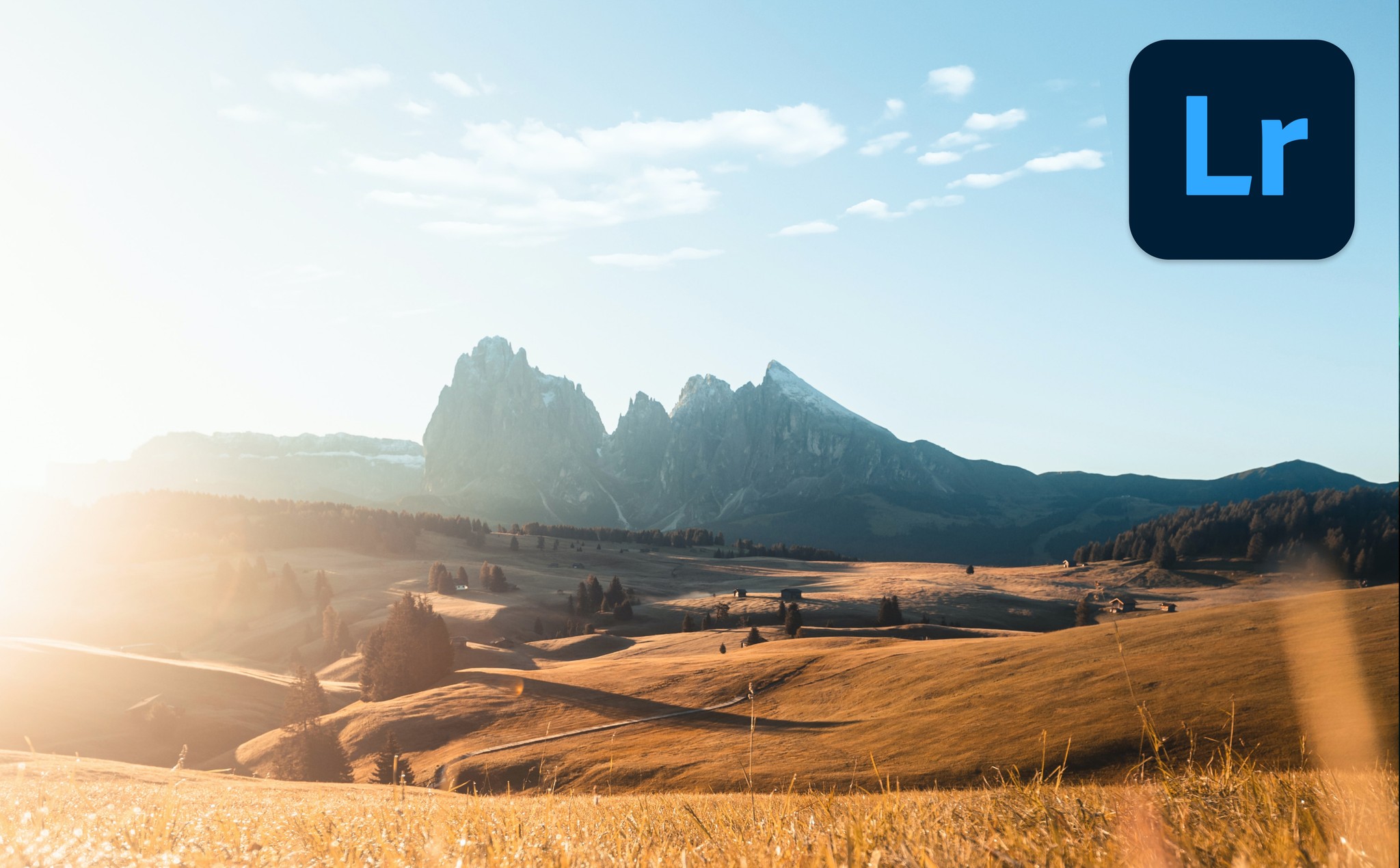 A golden field of rolling hills on a bright day with mountains in the distance