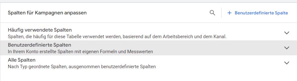 Screenshot aus Google Ads, Schritt 2: Spalten für Kampagnen anpassen