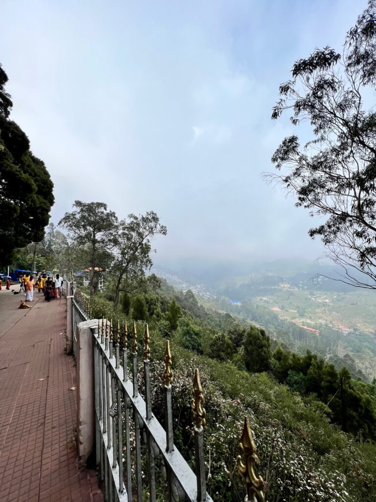 Coaker's walk. A nice walkway along a steep valley.