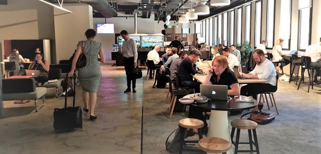What Interning for a Startup in Sydney is Actually Like