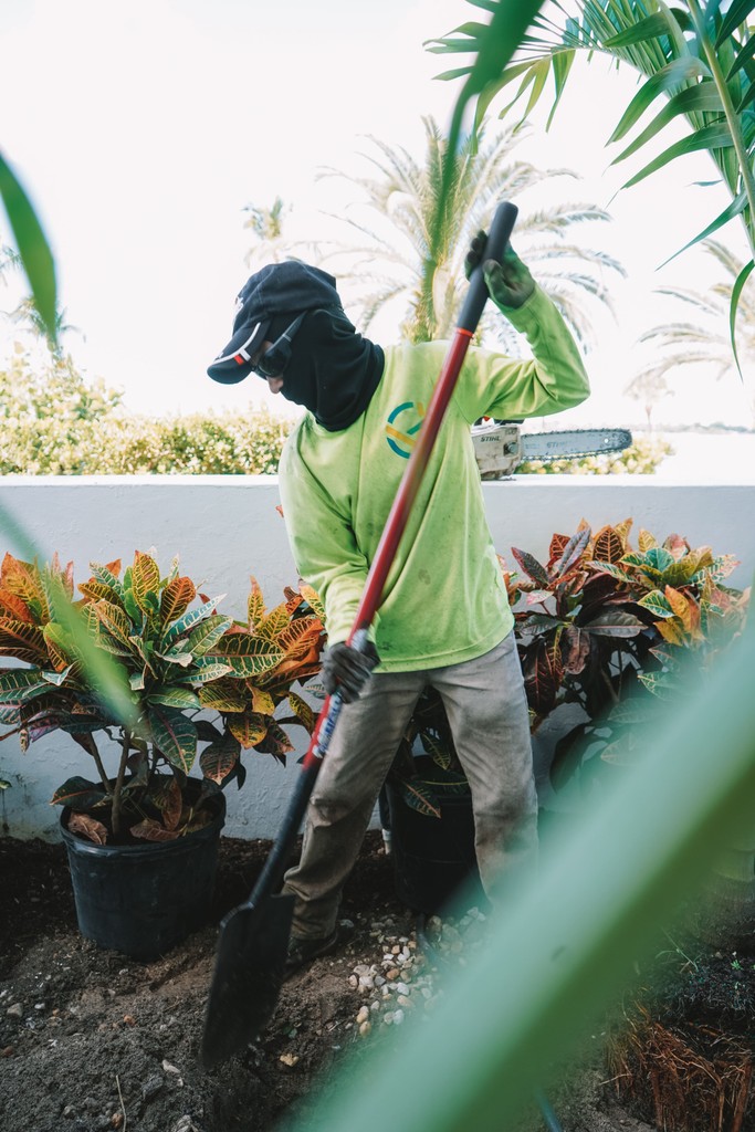 plant-installation