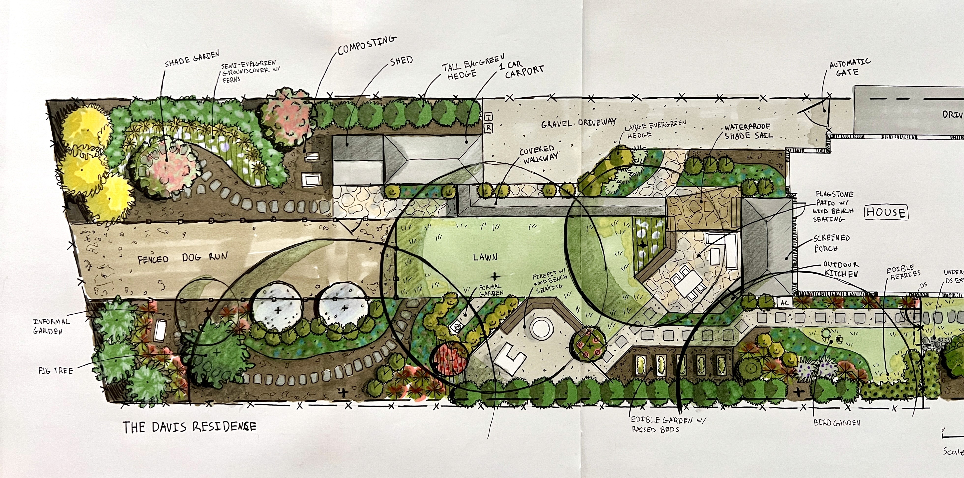 Native bird and pollinator landscape design in Atlanta