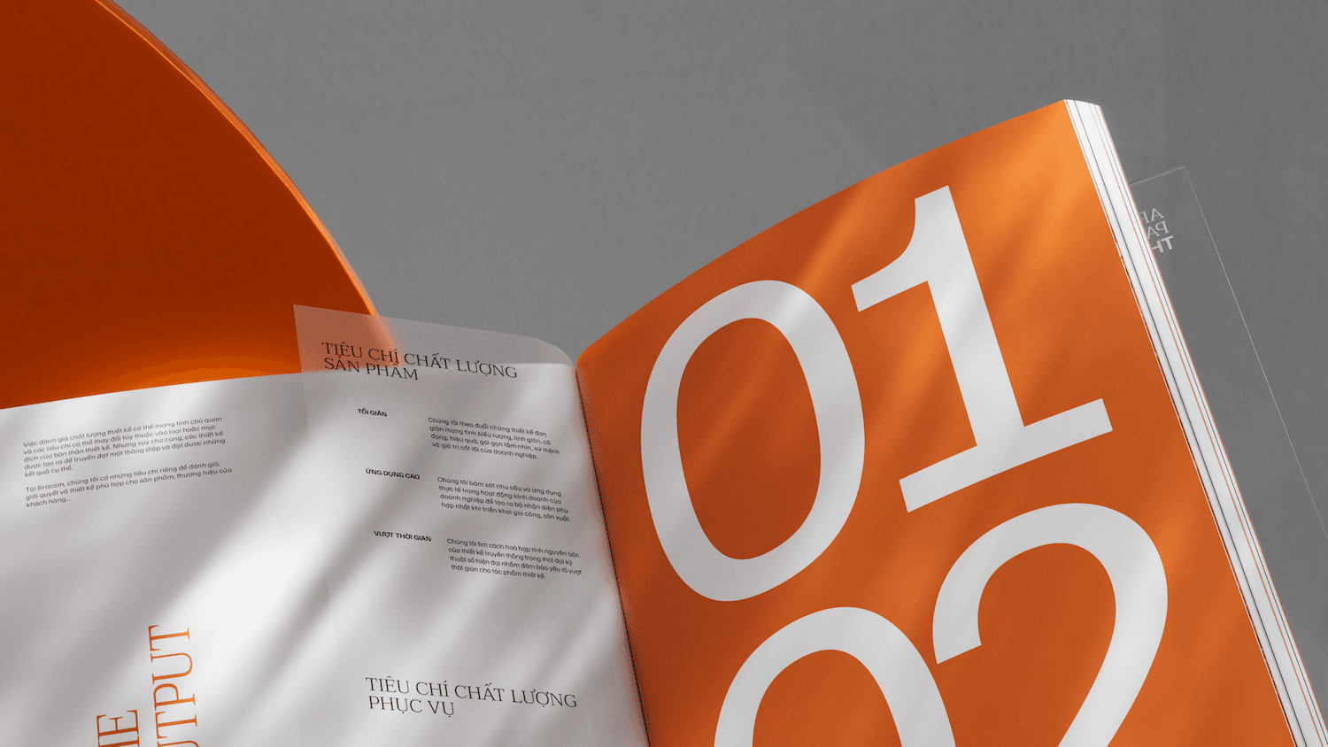 Here comes the alt text