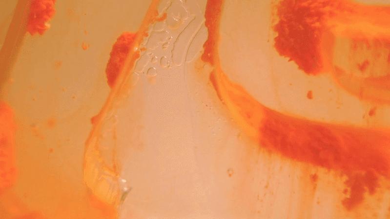 red close up image