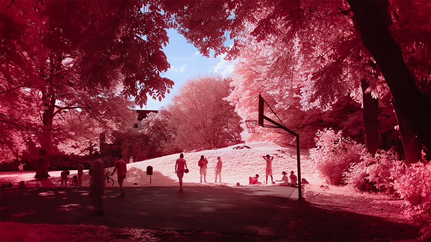 Infrared image of trees and people playing basketball in a park against the sky with foliage looking bright red