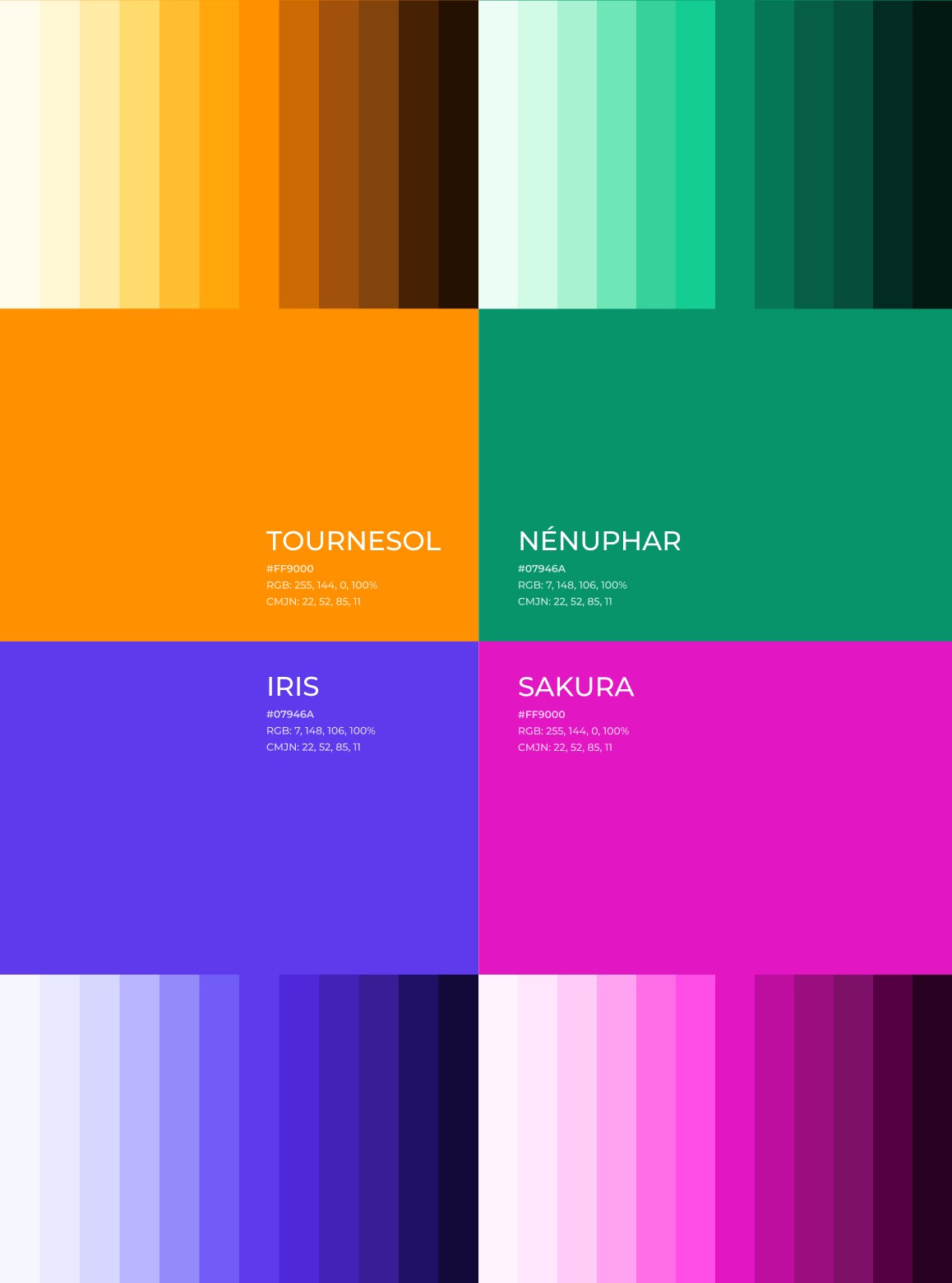 Image numéro deux du projet