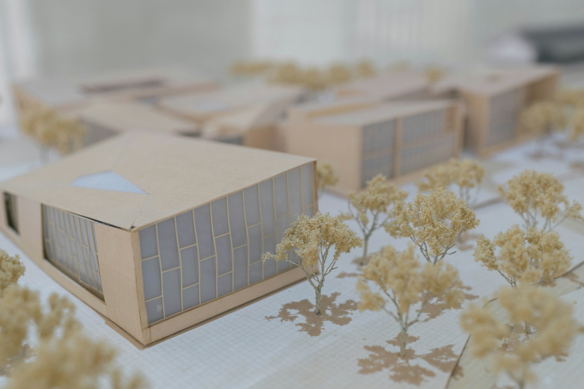 Cardboard study model of a low building among model trees