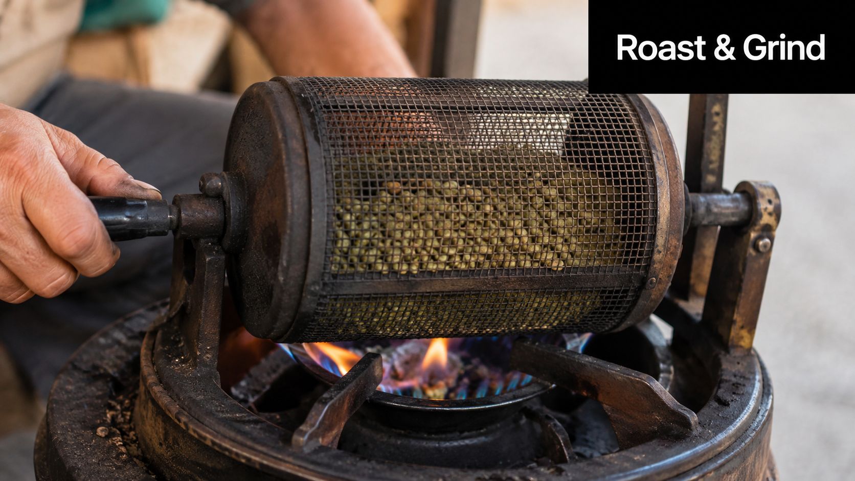 A person manually roasting green coffee beans in a metal mesh drum over an open gas flame.