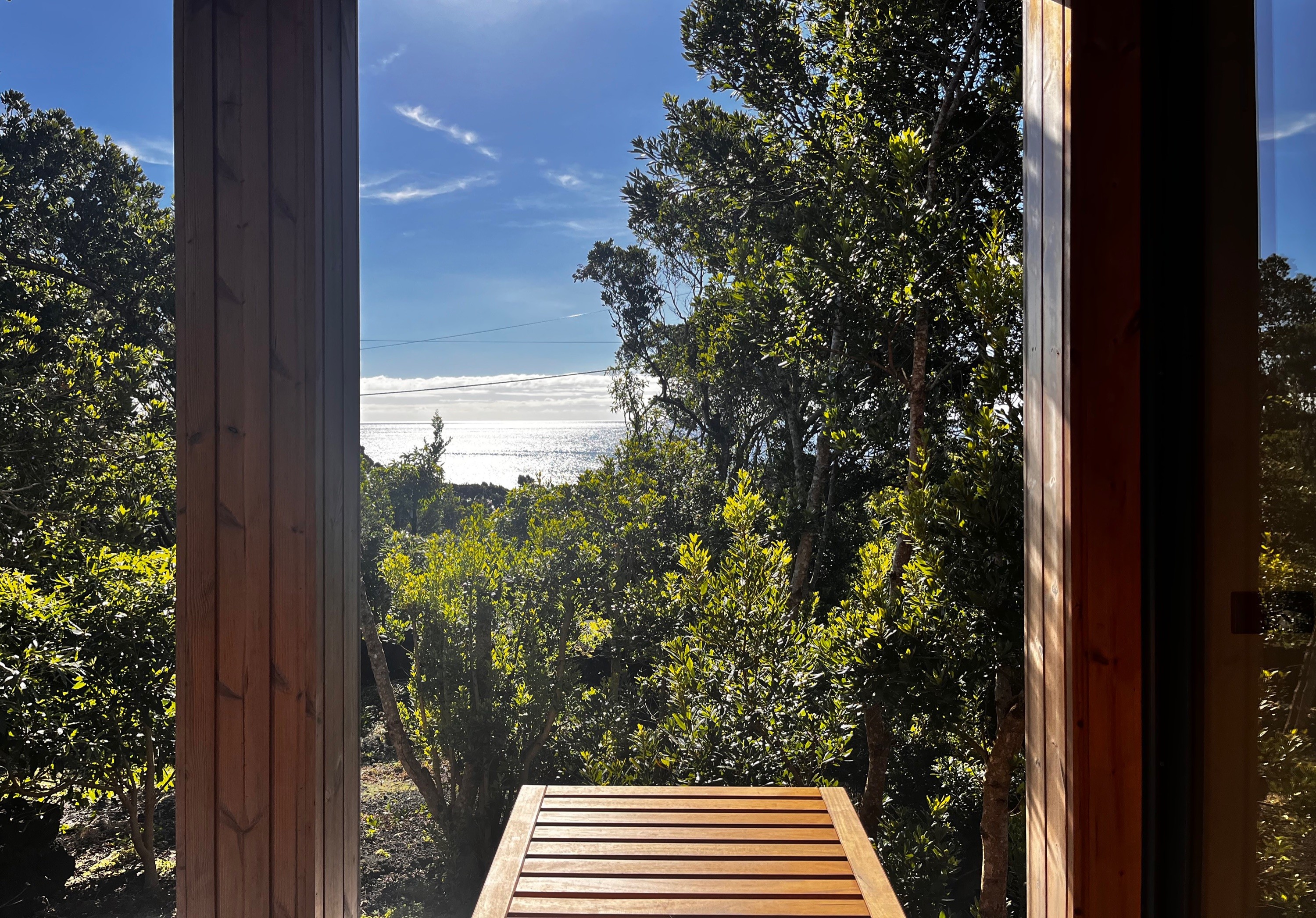 Exterior view of Misterios Lodge deck surrounded by trees with ocean in the background
