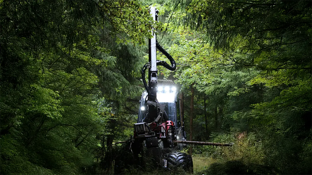 Forstharvester bei der Holzernte in einem dichten Wald.