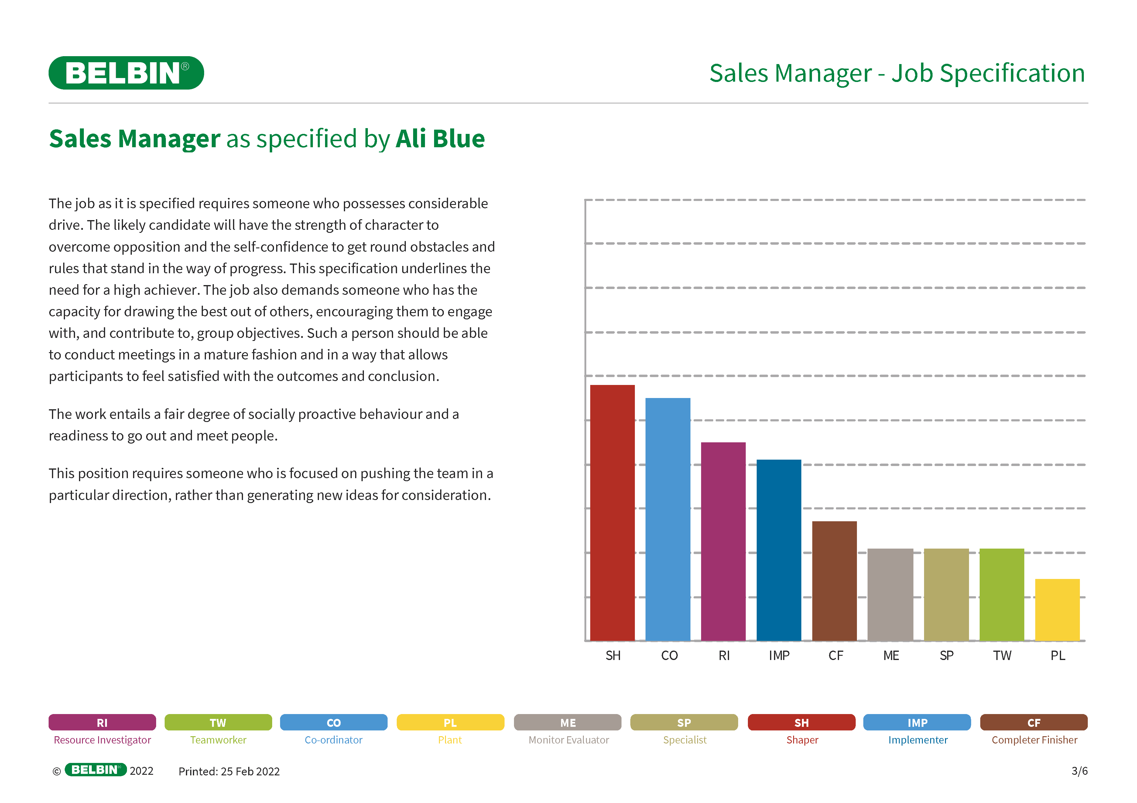 Belbin Team Roles Job Report Example