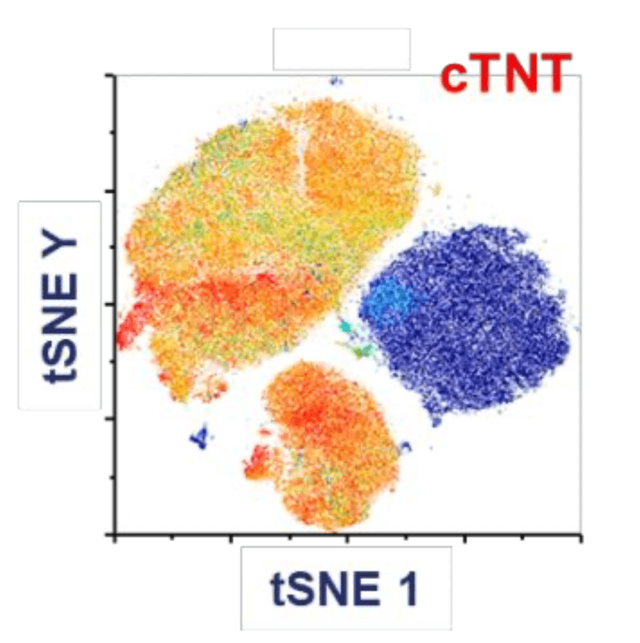 A medical graphic showing Immune-Ohenotyping