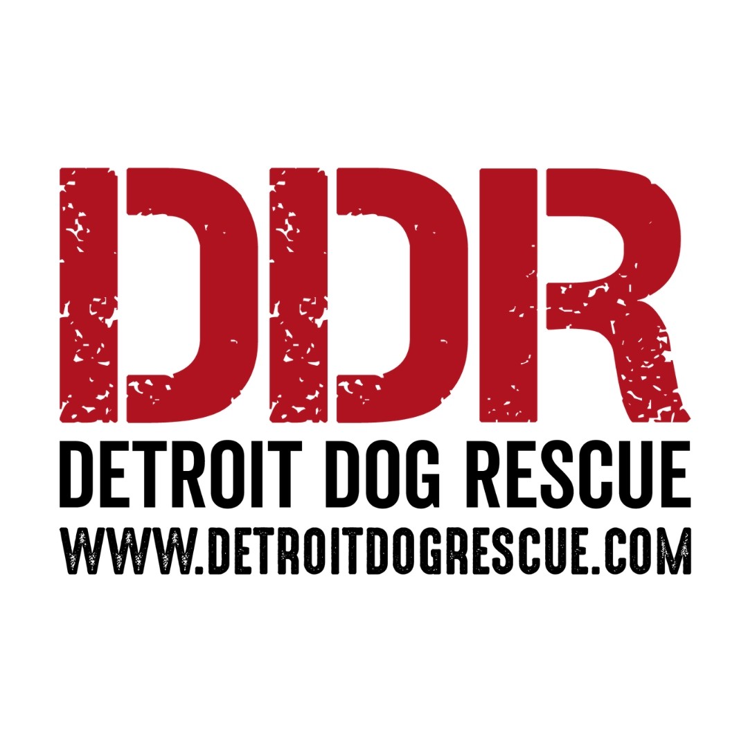 vegetable salad served on black ceramic plate