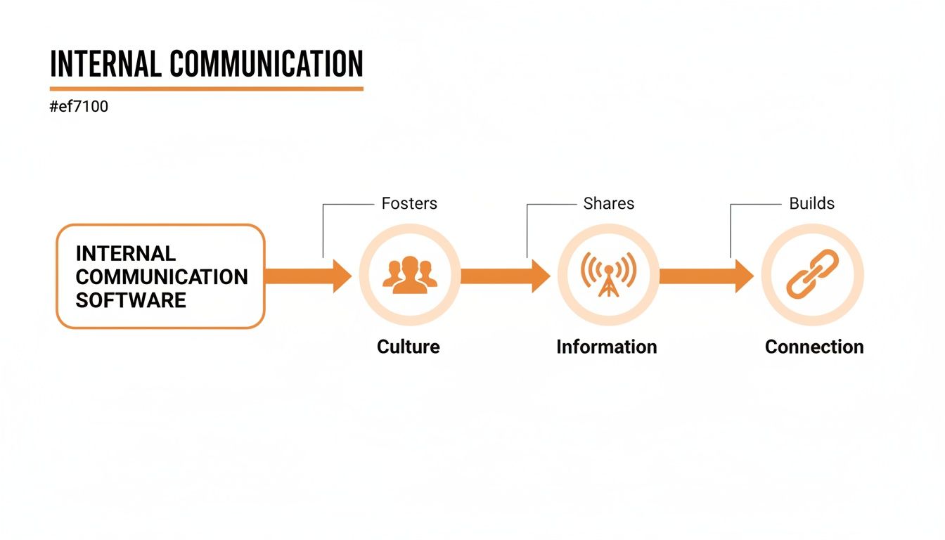 Flowchart illustrating how internal communication software fosters culture, shares information, and builds connection within an organization.