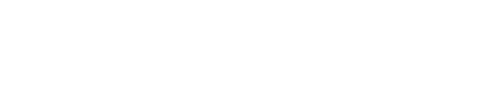 Summit STEM Fellowship Logo