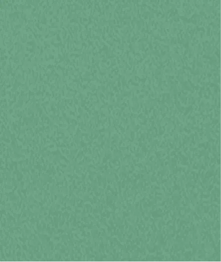 Patina Perth Oberfläche