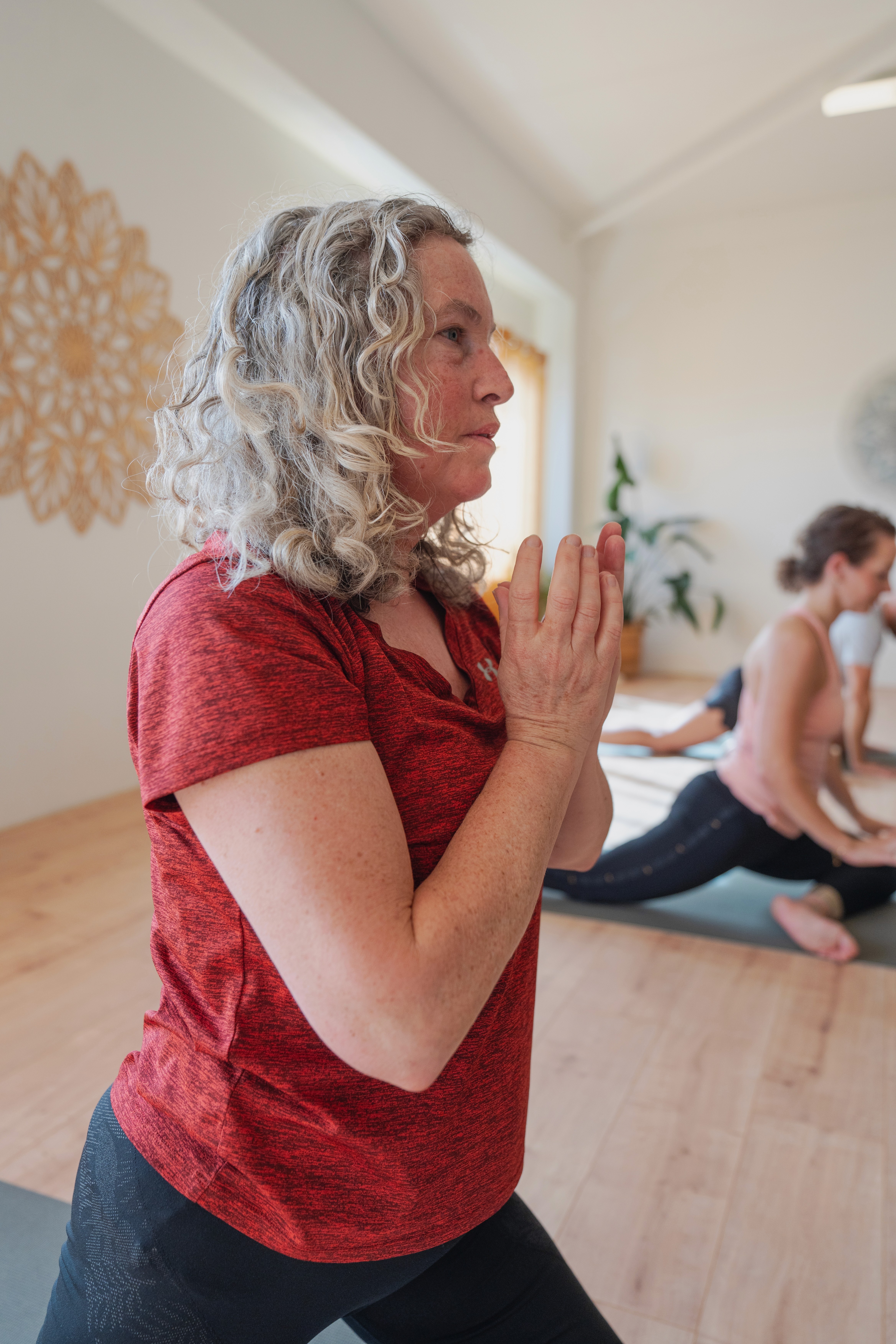 Close-up of a dark green leaf showing its textured surface and central vein against a muted background.