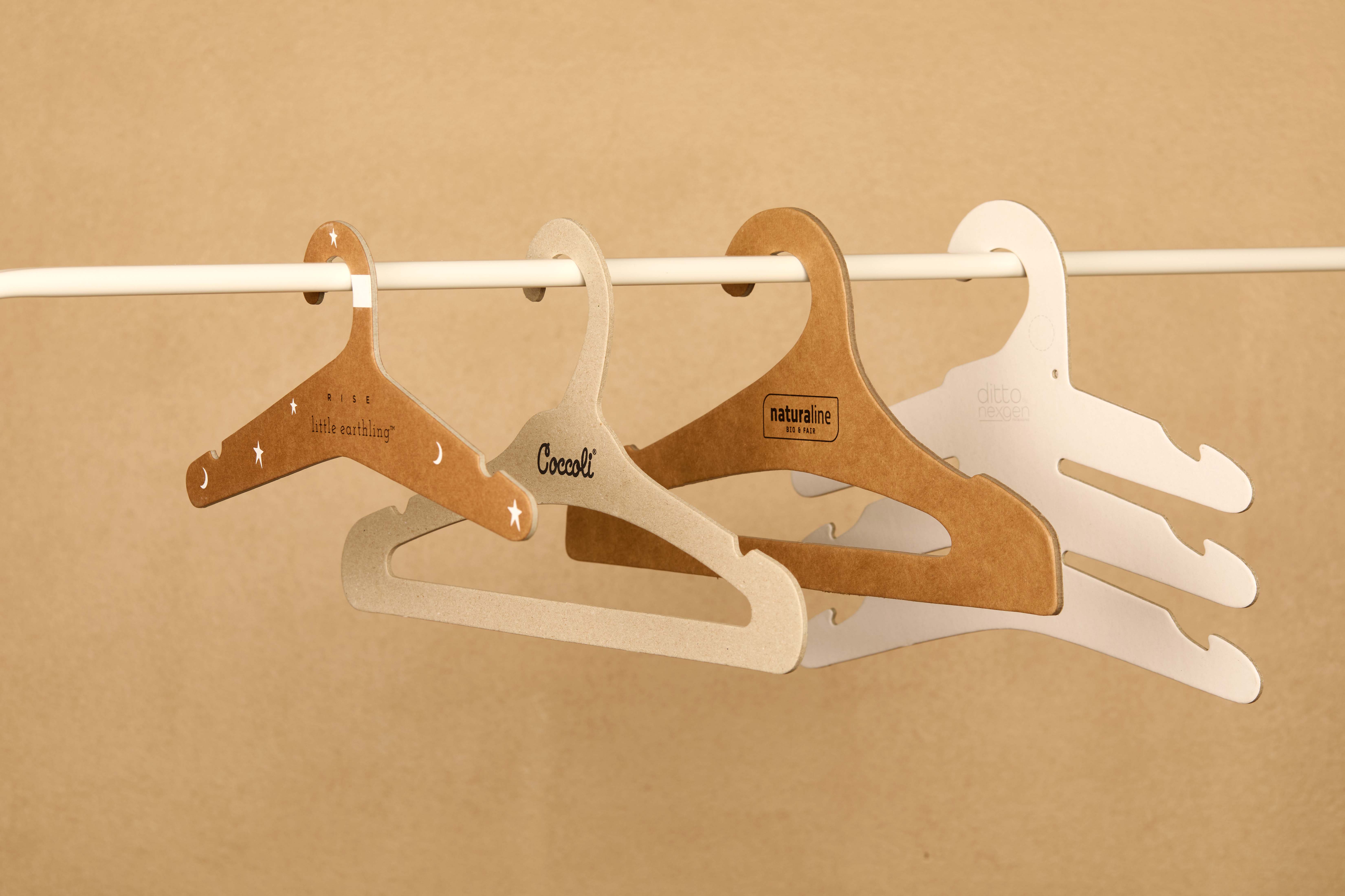 Close-up of a tree stump showing growth rings and a textured brown wood surface.