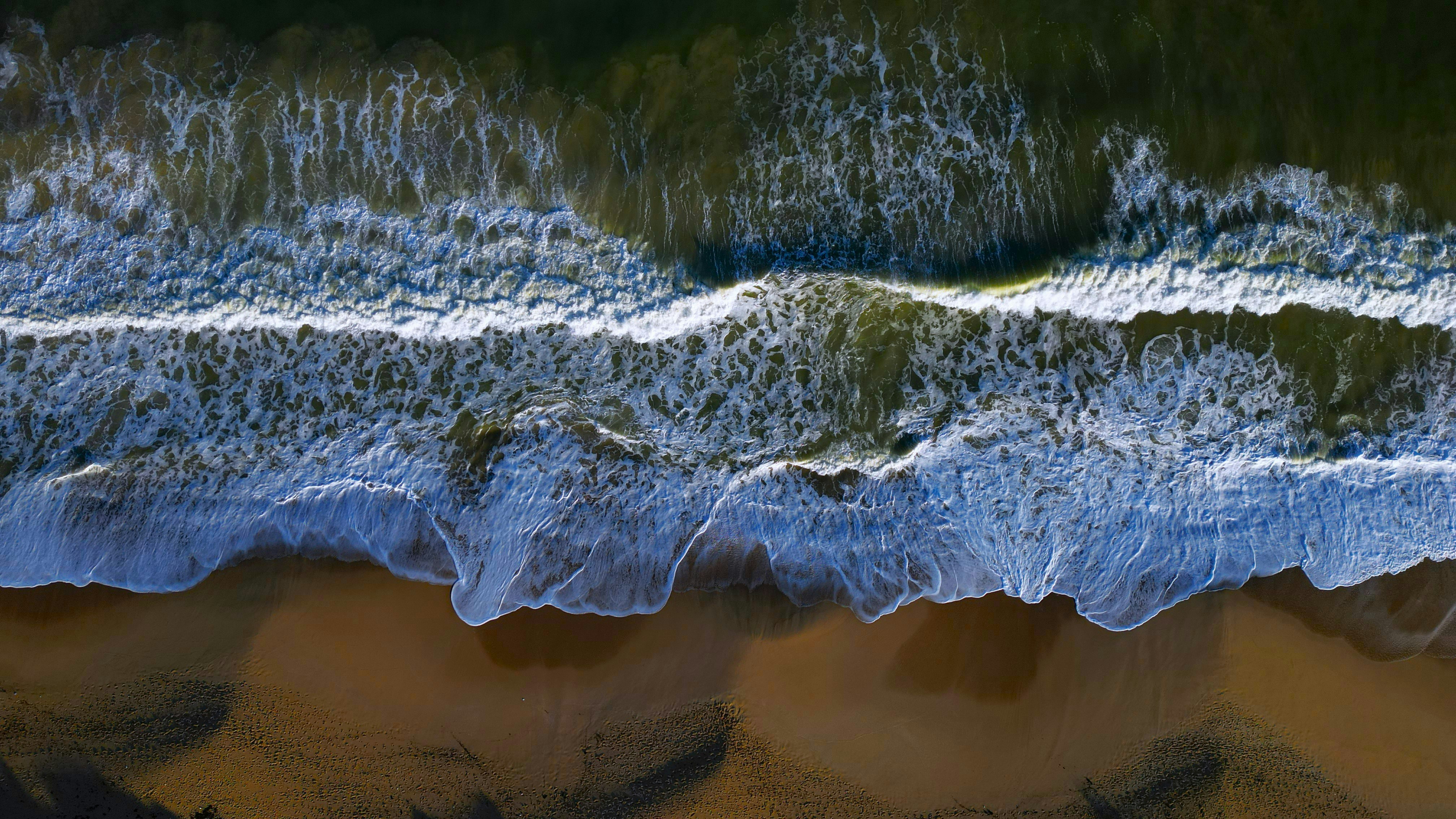 Close-up of a dark green leaf showing its textured surface and central vein against a muted background.