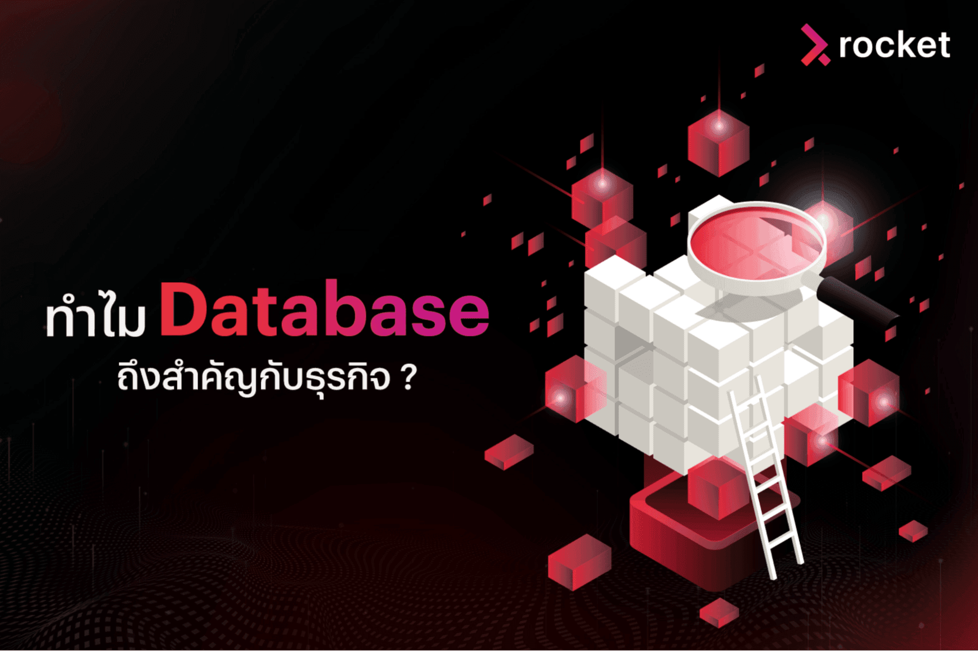 Database system คือ