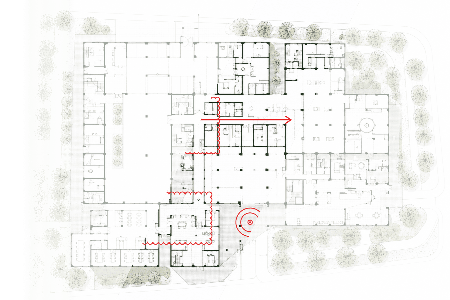 Back image