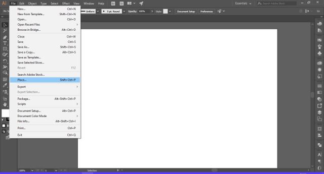 place it in Illustrator