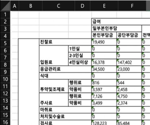 실손 영수증 데이터 정형화