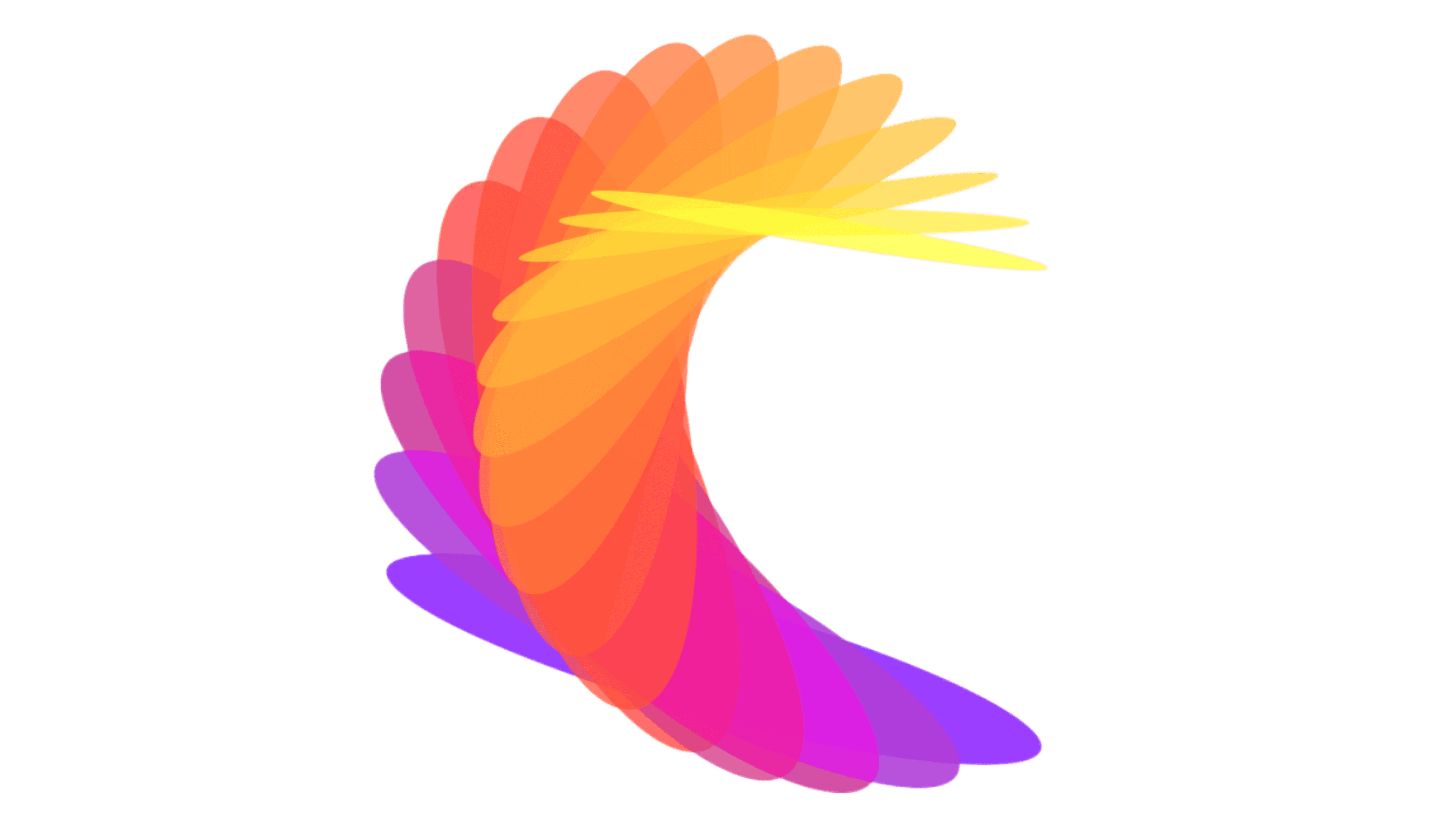 torus abstract object