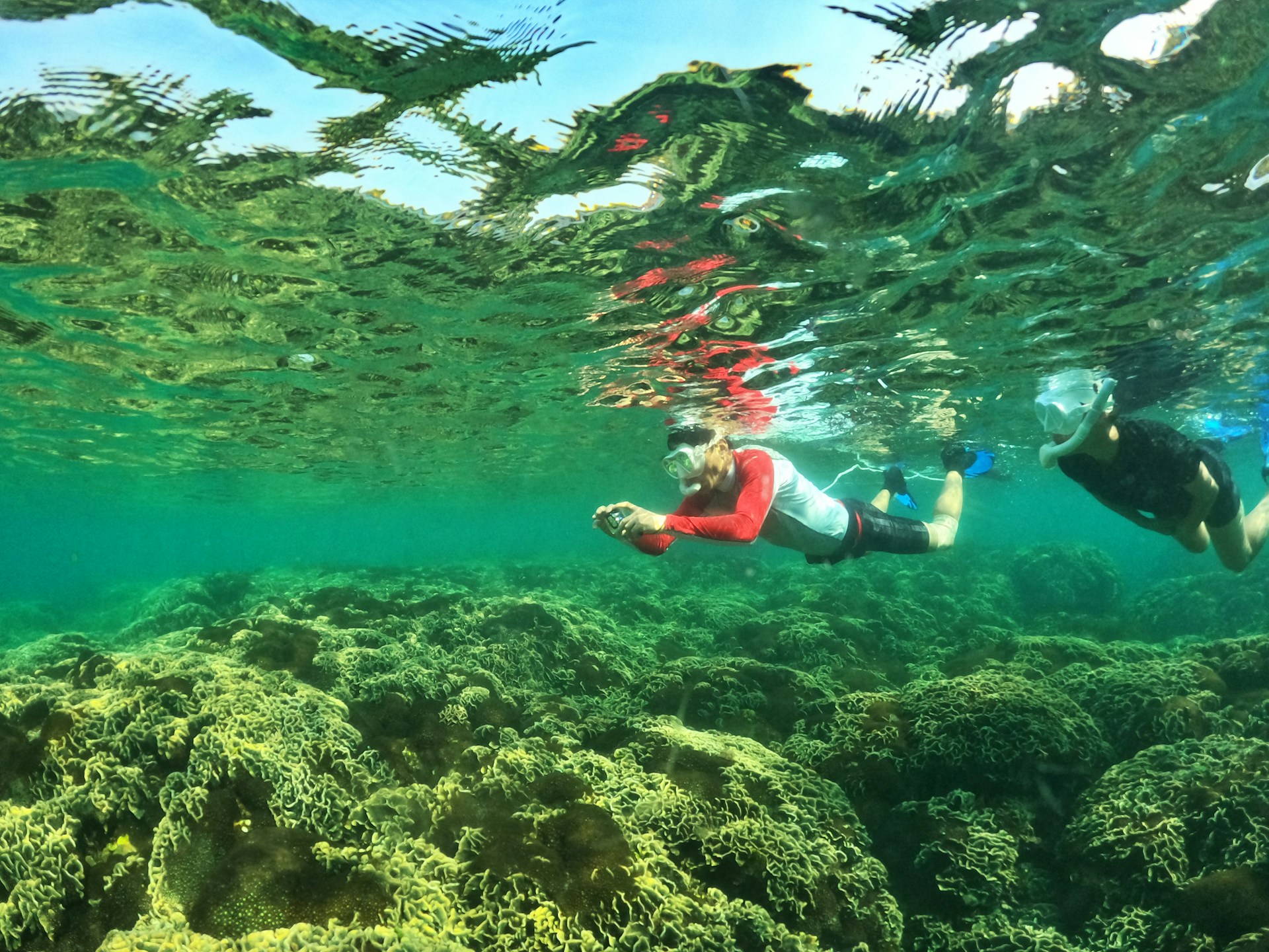 Beautiful outdoor destination showcasing the type of tours and experiences managed through booking platforms.