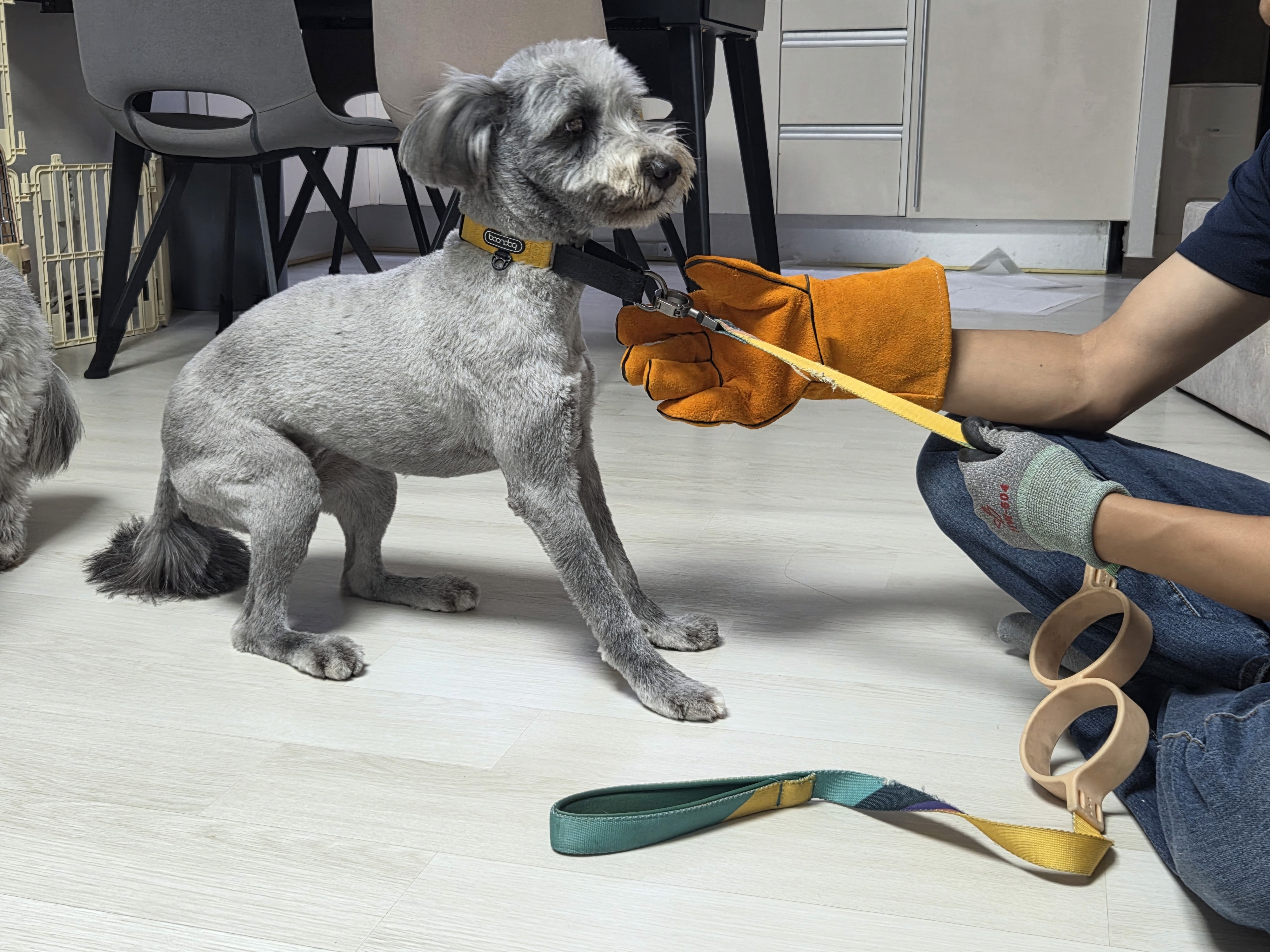 AquaFlow's transparent and eco-friendly packaging showcases the purity of its mountain spring water.