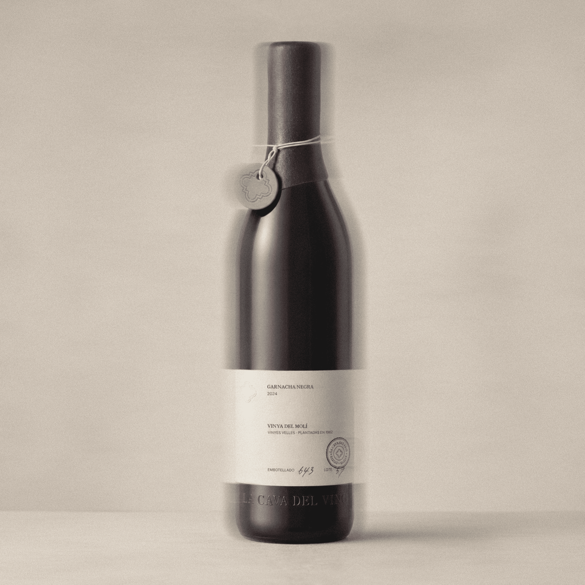 Wine Brand — branding and visual identity