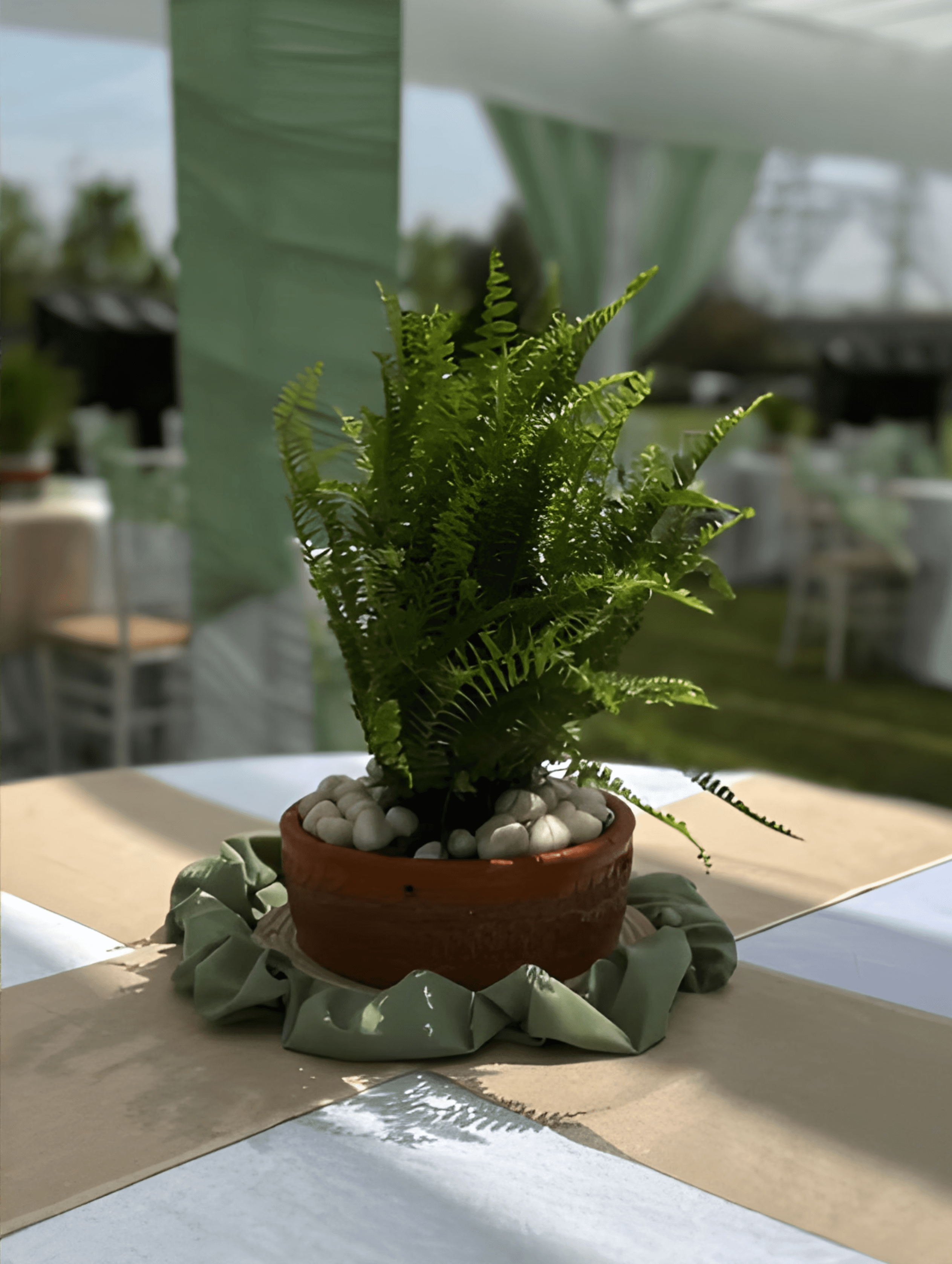 A vibrant bridal bouquet featuring a mix of red, pink, and purple flowers.