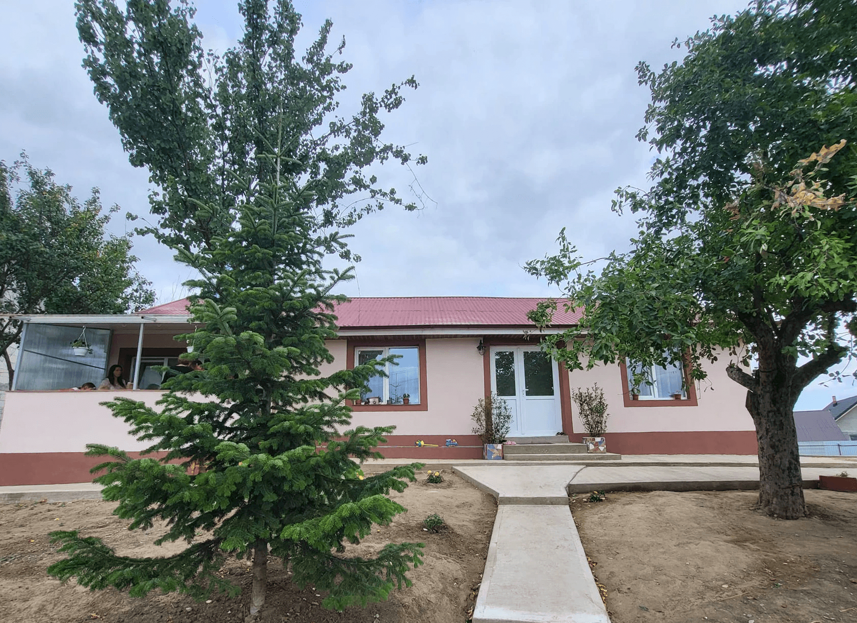 Close-up of evergreen foliage, showcasing vibrant green needles densely packed together.