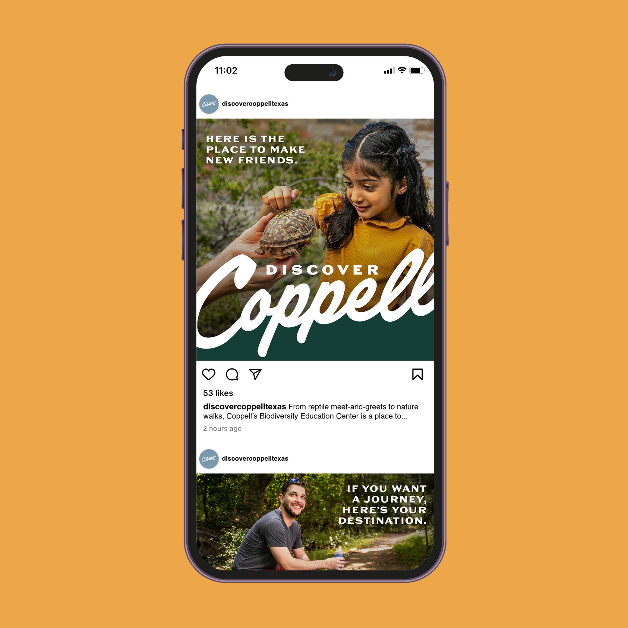 instagram social post organic