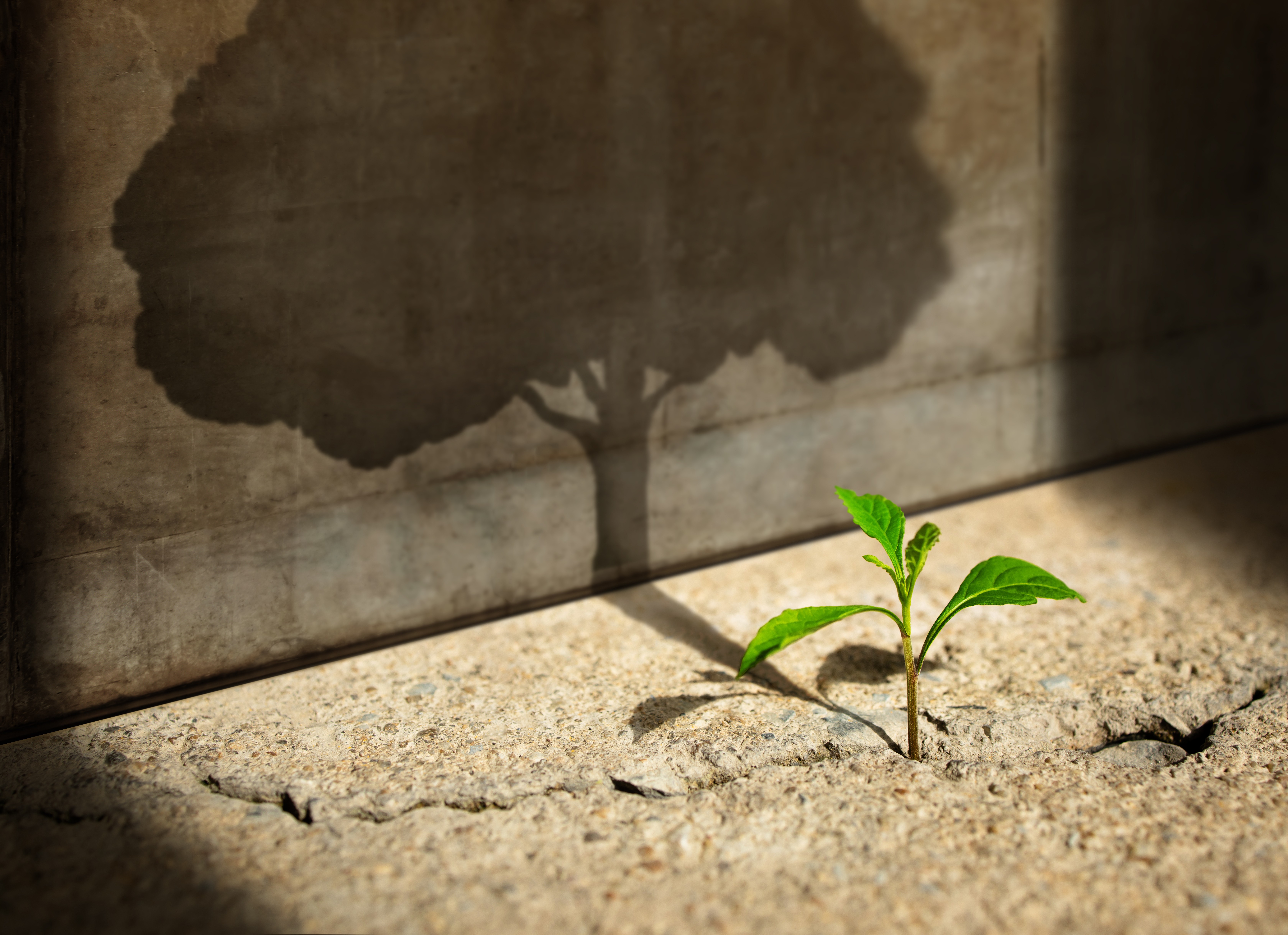 Growth Mindset