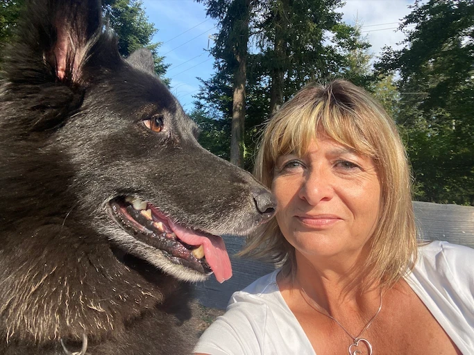 woman in gray shirt sitting on chair beside white and black short coated dog