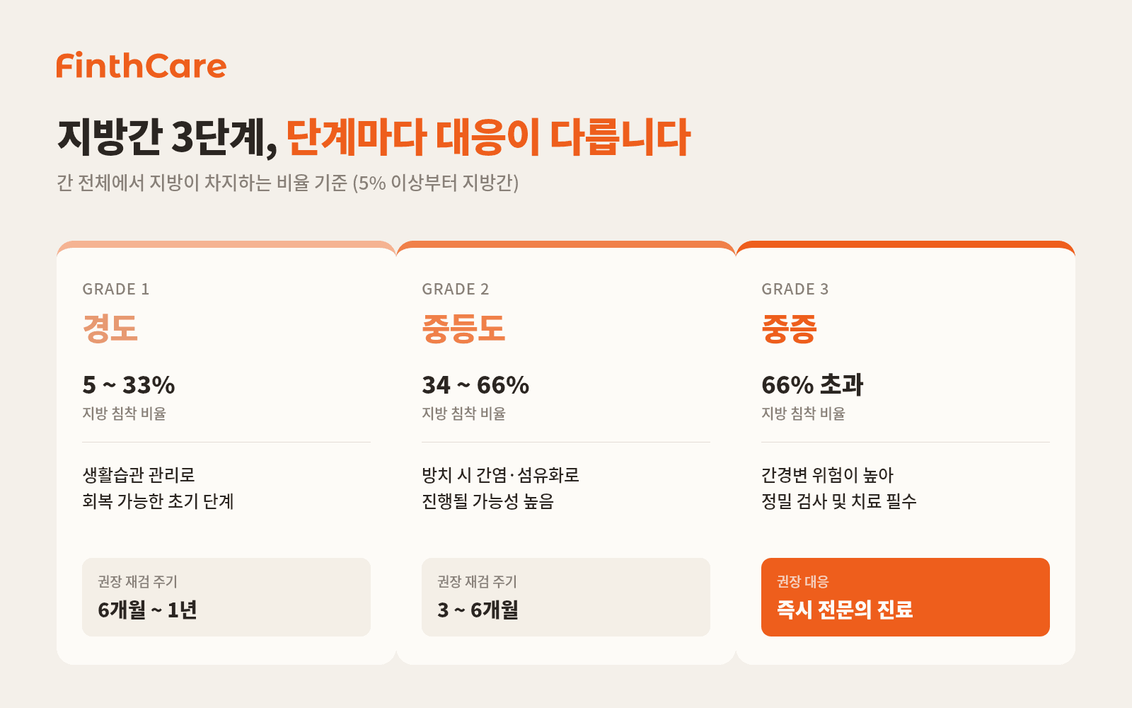 경도 / 중등도 / 중증 지방간 3단계 비교표