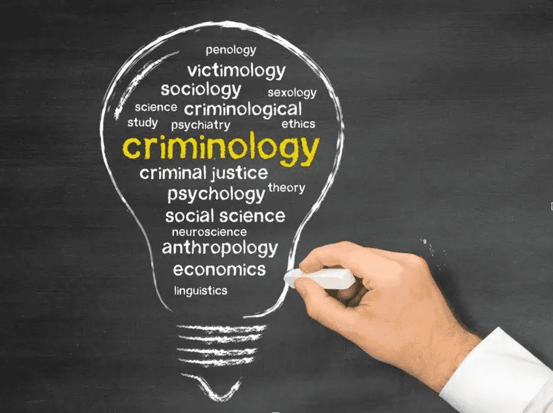High school student researching criminology topics at a desk with books and a laptop open to crime statistics data