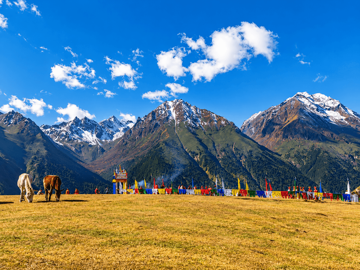 Travel with IndiHorizons