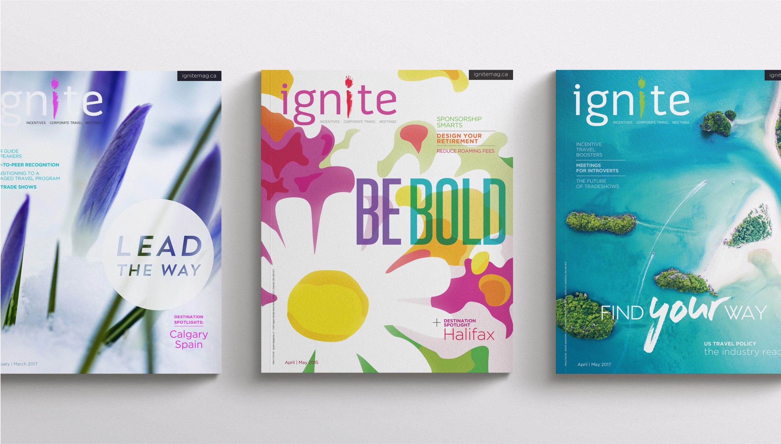 Surrey Gardens and 431 Hampton email design